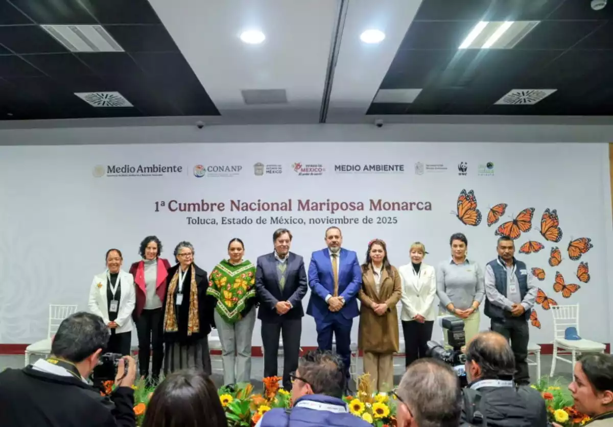 cumbre nacional mariposa monarca