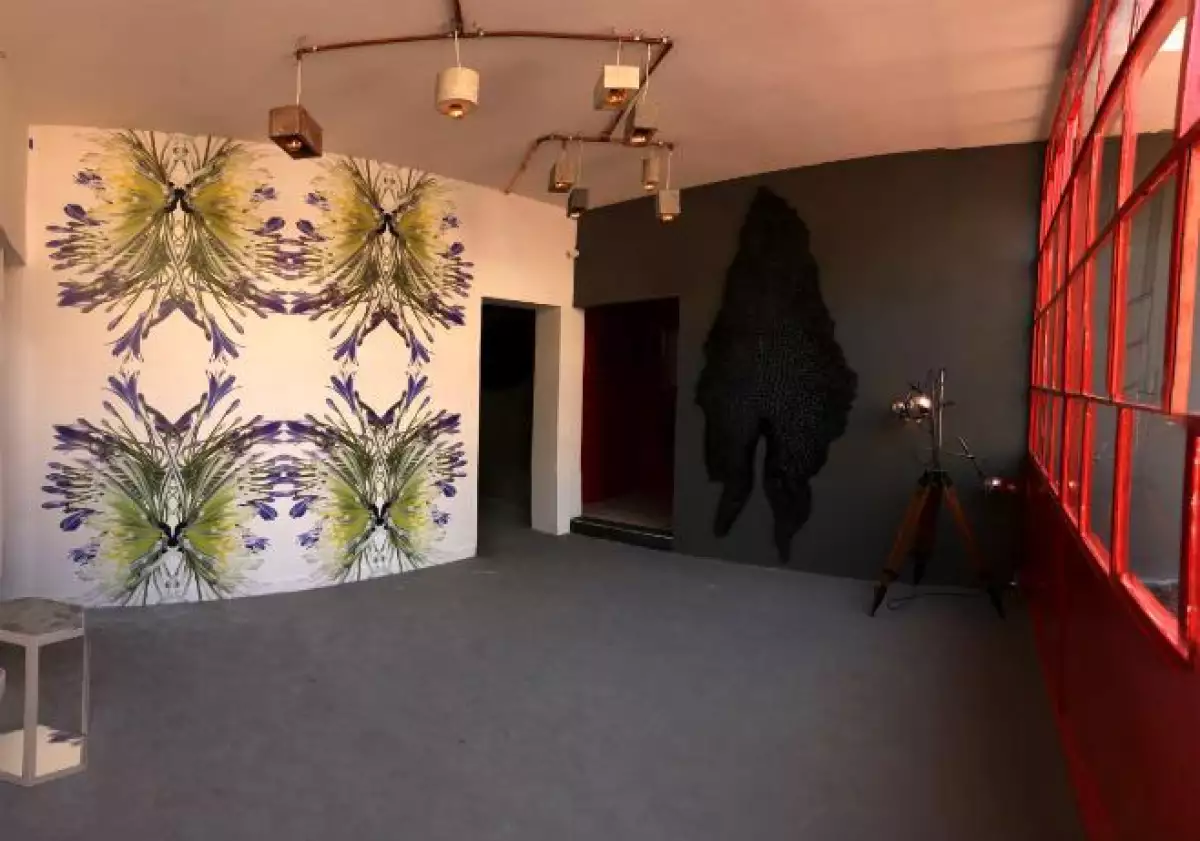 Design House 213