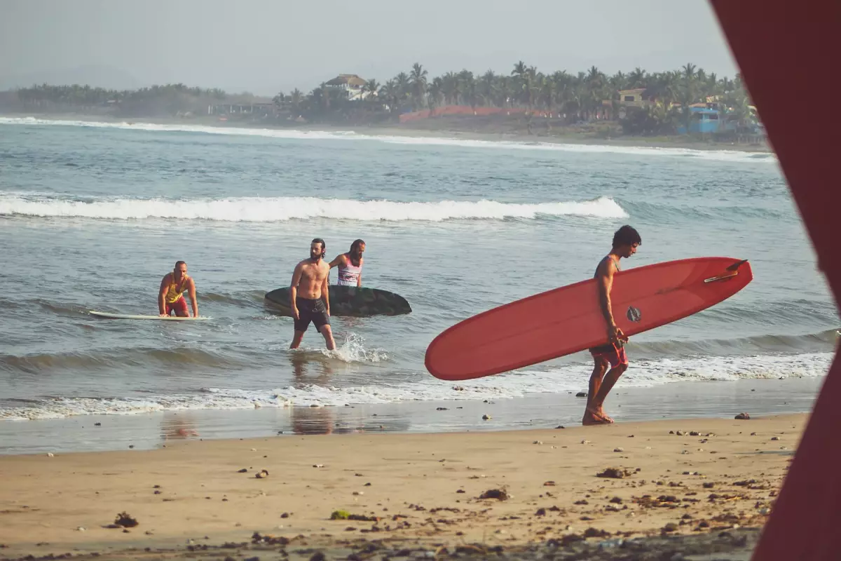 Surf