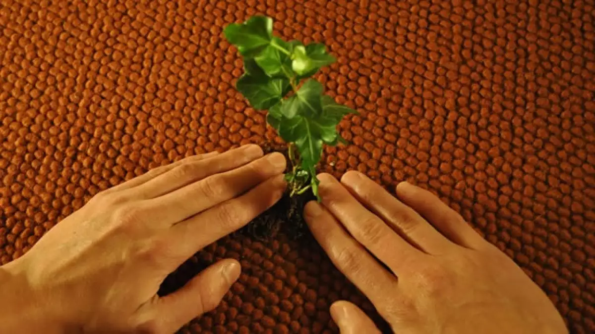 save the planet