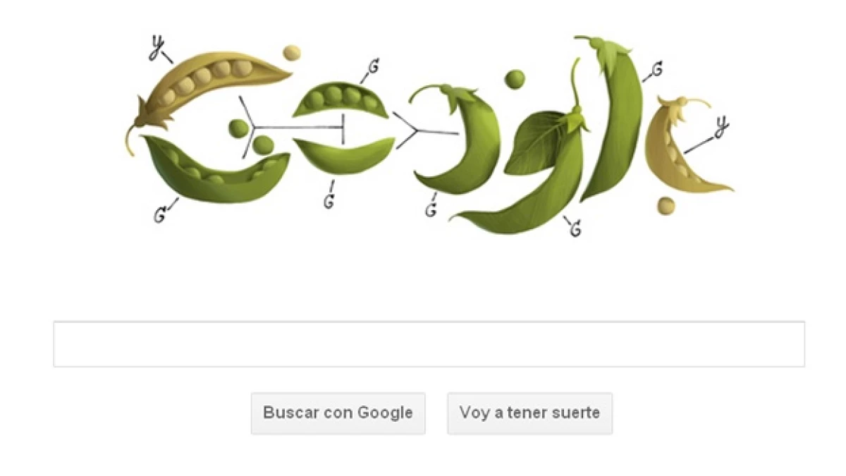 doodle alucivo a los chicharos de medel
