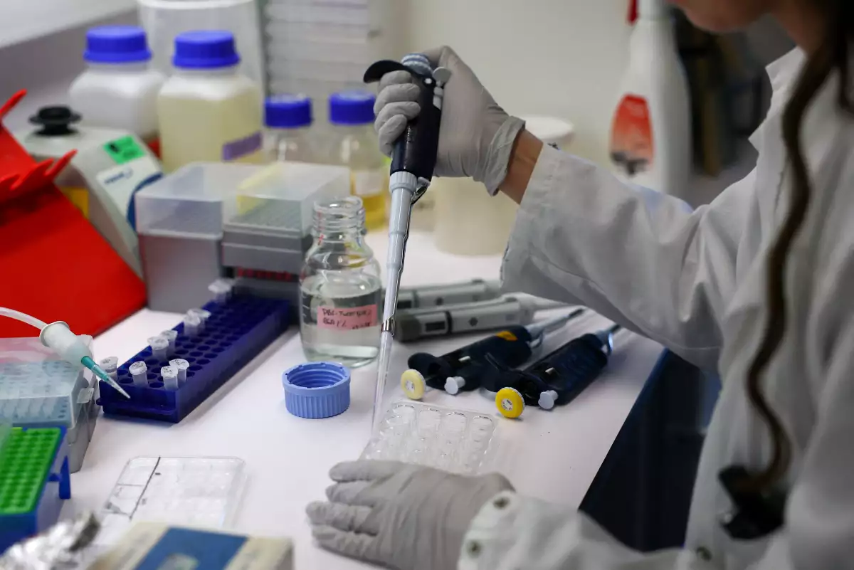 Un investigador utiliza una pipeta para transferir una muestra a un microtubo durante una visita de prensa, mientras los investigadores trabajan para monitorear y prevenir la propagación de la gripe aviar, incluido el virus de la gripe aviar H7N9, en el Instituto Pasteur en París, Francia, el 24 de noviembre de 2025.