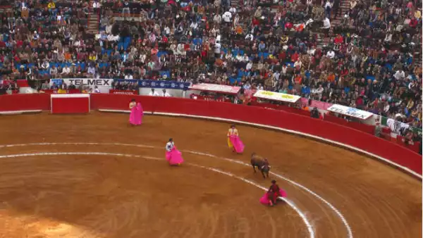 plaza de toros