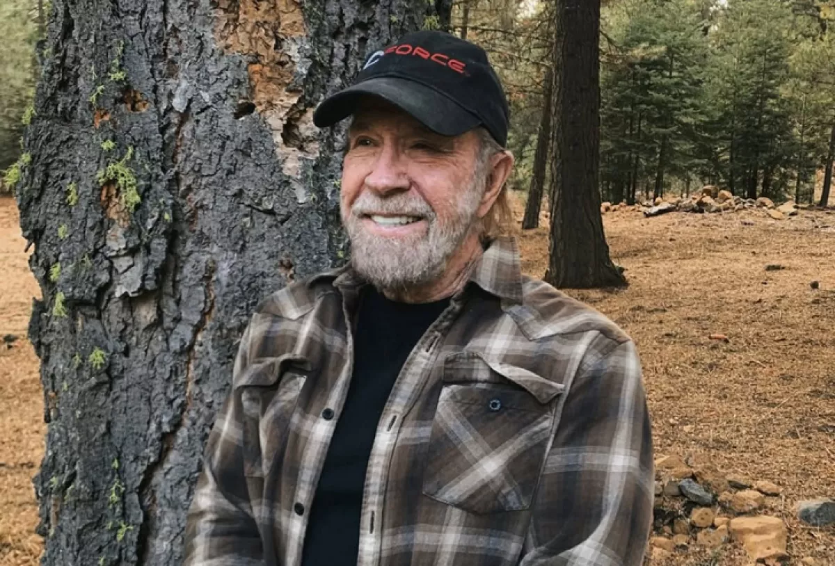 chuck norris.png