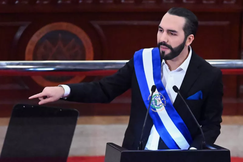 (Nayib Bukele, presidente de El Salvador)