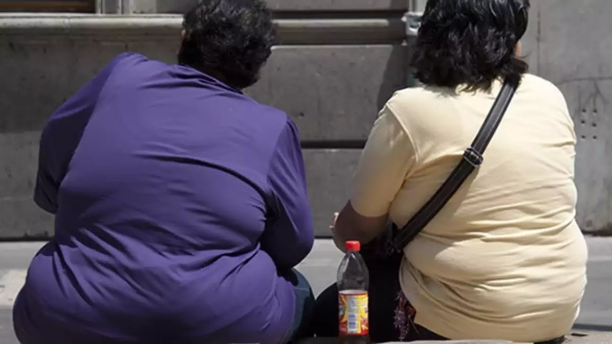 obesidad