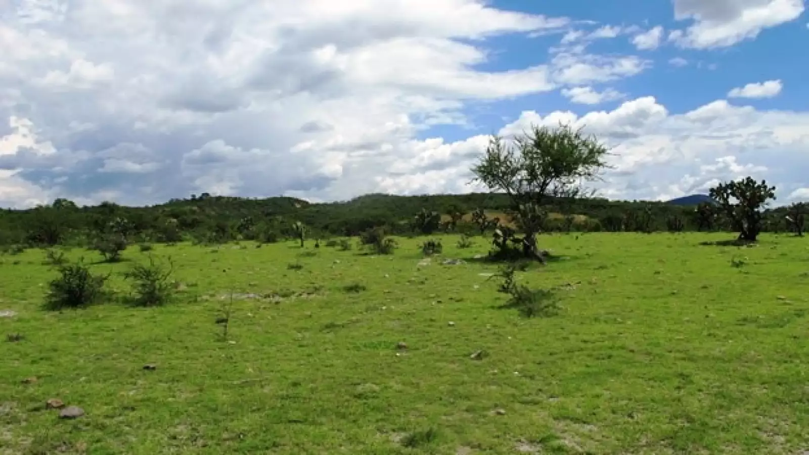 Pastor niño Puebla explosión
