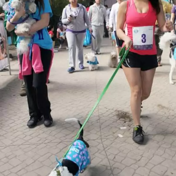 Pamela Jean con Lucrecia,Claudia Lizaldi con Moe