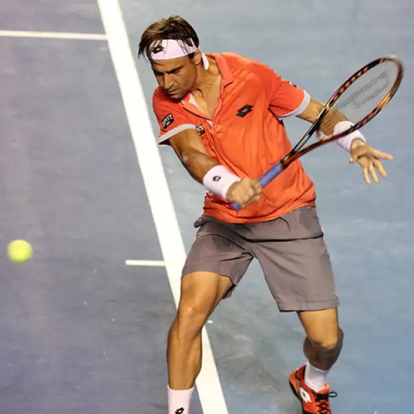 David Ferrer