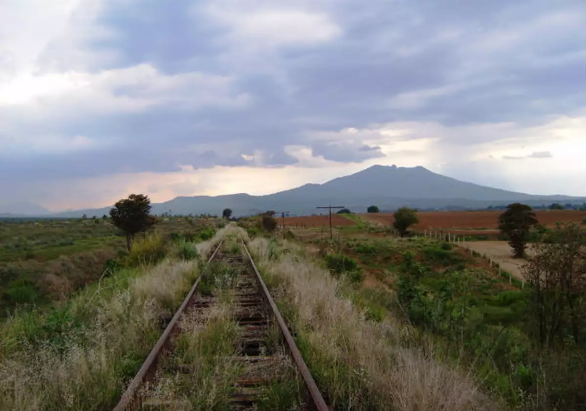 Tren