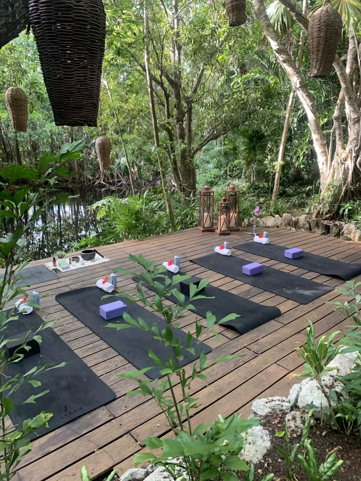 YOGA.jpg