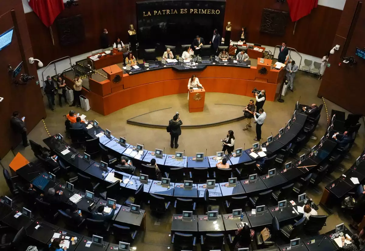 senado
