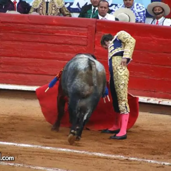 toros 1 fecha