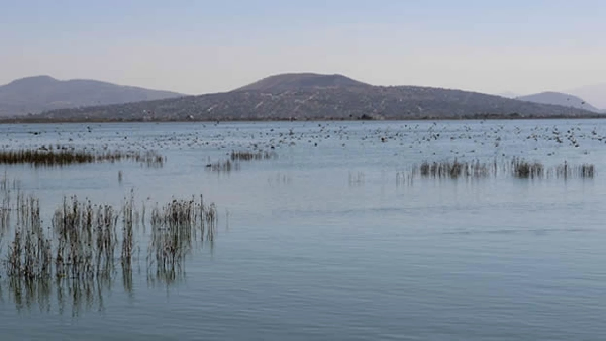 Lago de Texcoco