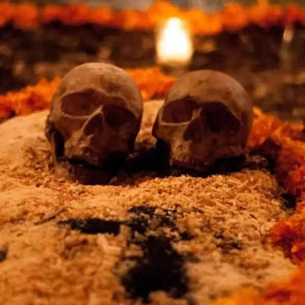 La UNAM recibe las ofrendas de muertos