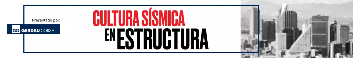 Cultura sísmica en estructura / header-banner