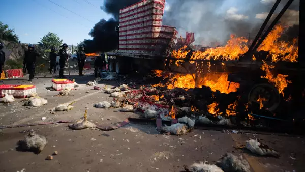 Los bloqueos en las carreteras de la zona del Istmo y los Valles Centrales de Oaxaca han generado encarecimiento y desabasto de productos básicos, según los empresarios.