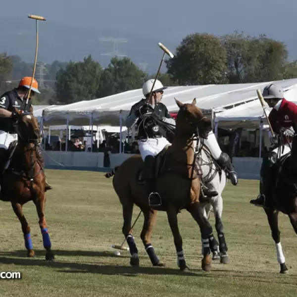 Appleton state polo classic 2012