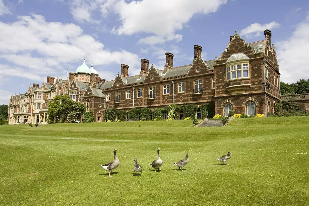 Geese on the lawn of the Sandringham country house England