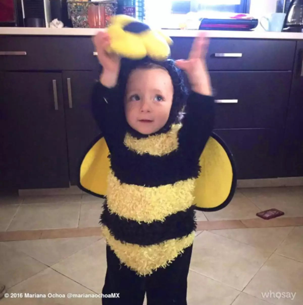 Disfrazada de una linda abejita, Valentina enamoró a los followers de Mariana.