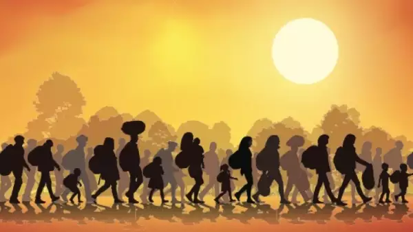Migración