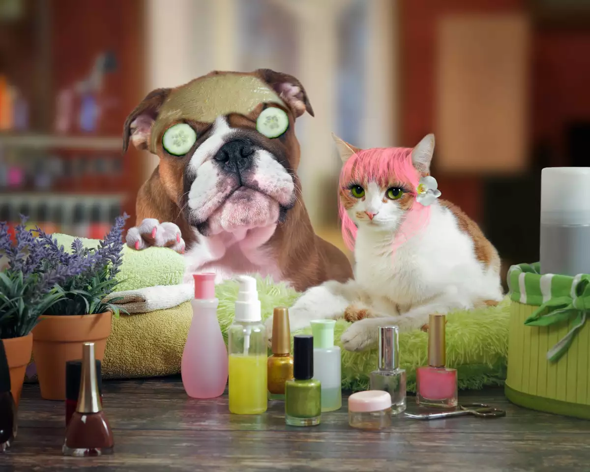 perros gatos hijos spa perrhijo