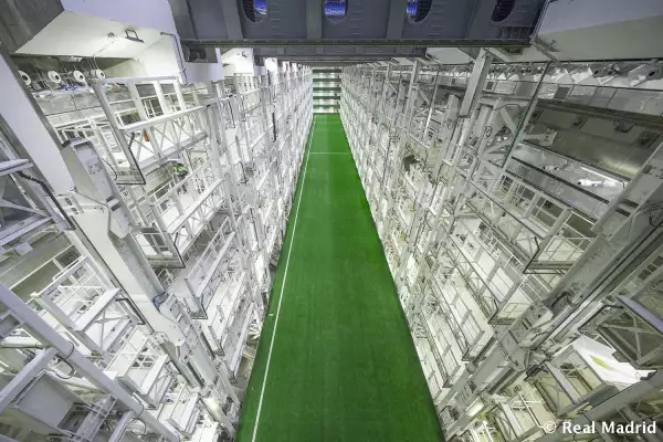 Sistema de césped retráctil