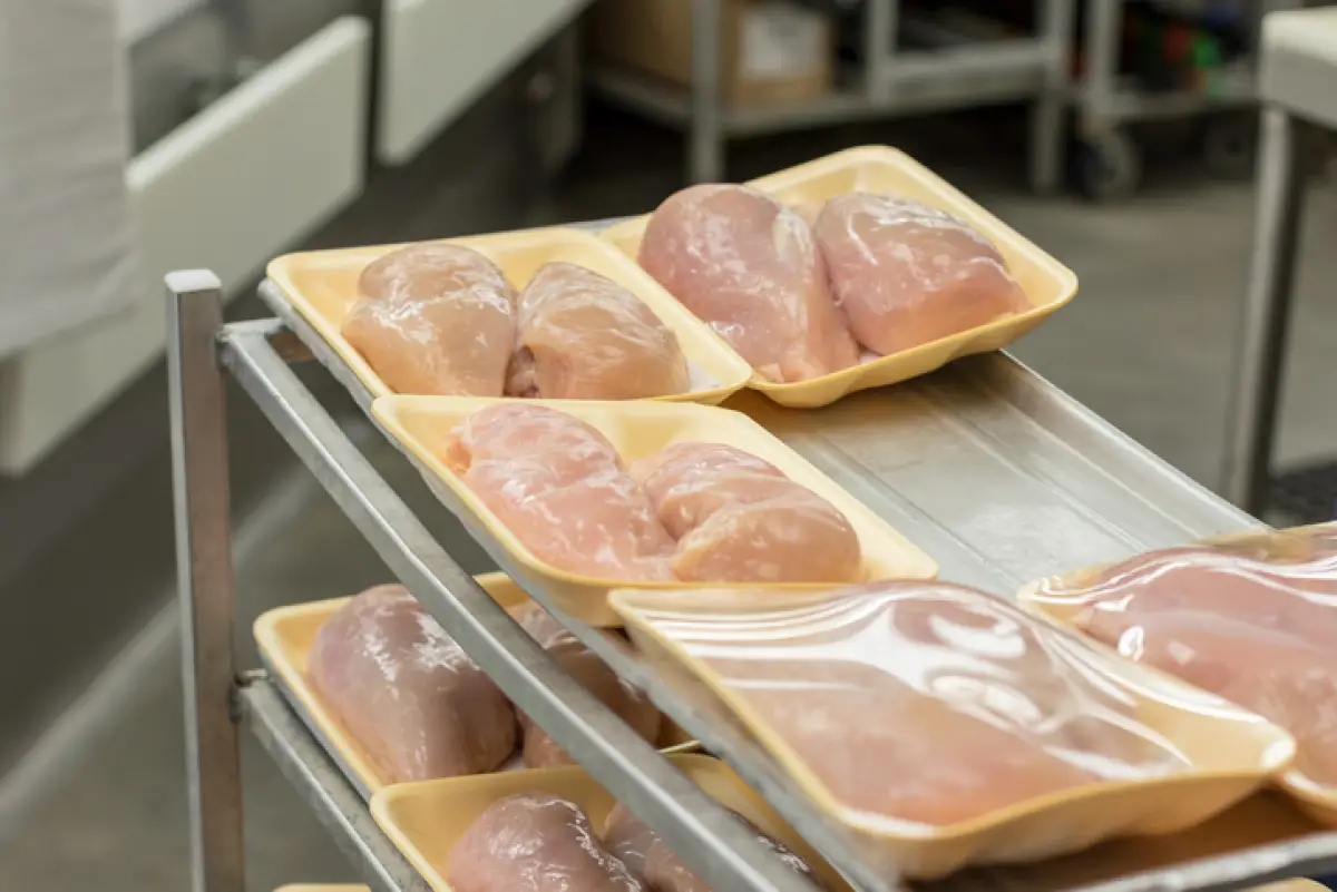 Freshly Processed Chicken Breast