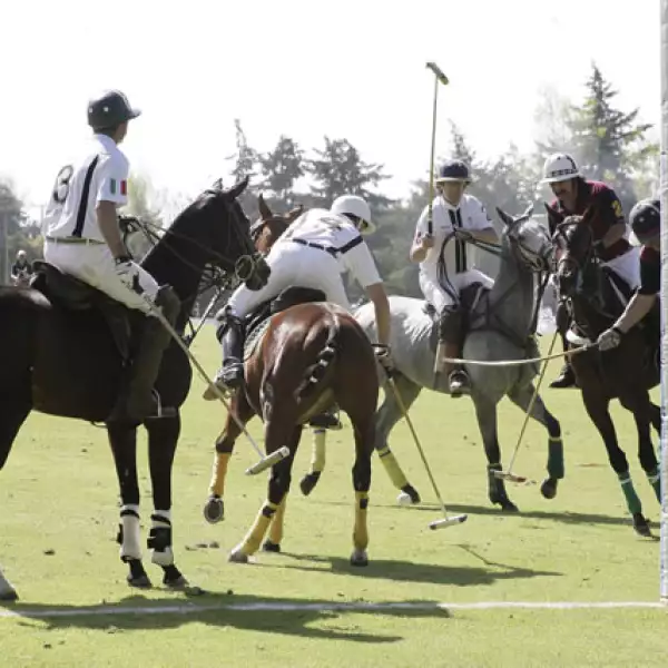 Torneo de Polo