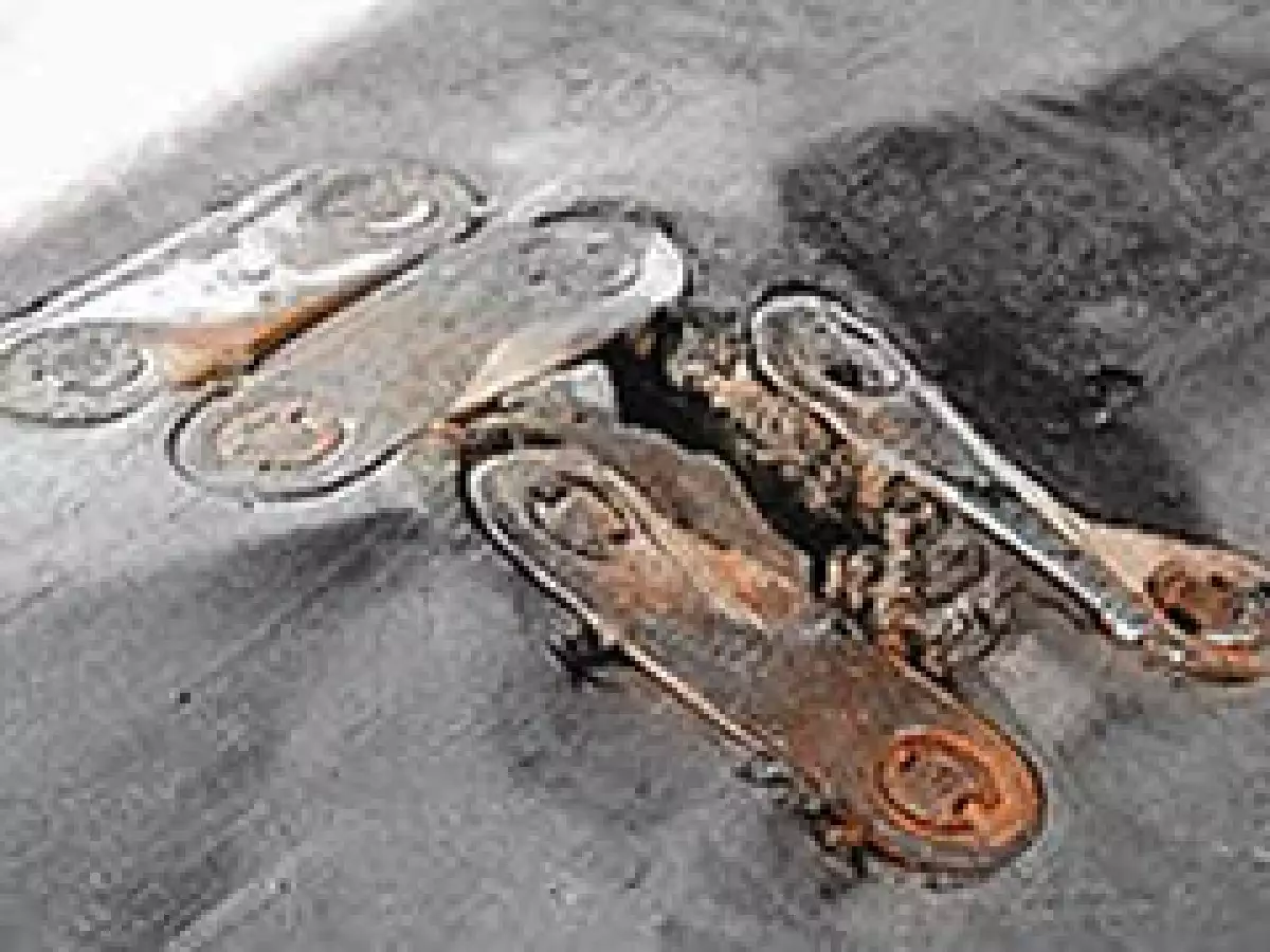 Despalme... (Foto: Fenner Dunlop)