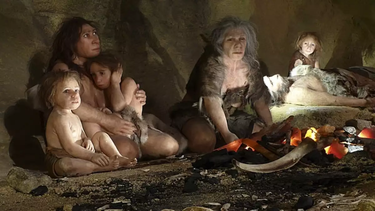 Familia neandertal