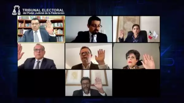 tribunal elecciones 2020