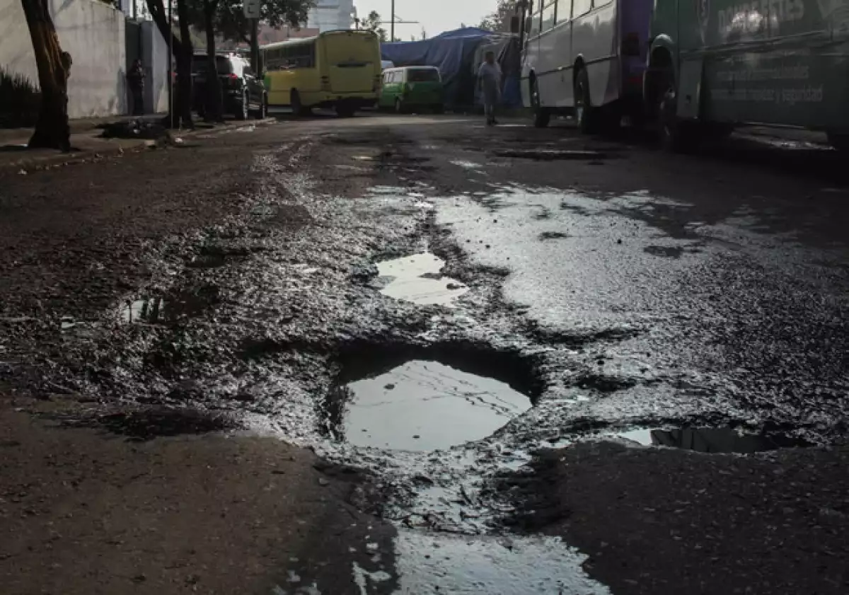 bache
