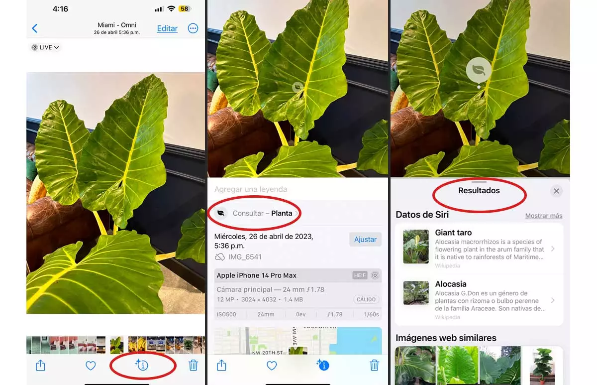 plantas-iphone.jpg
