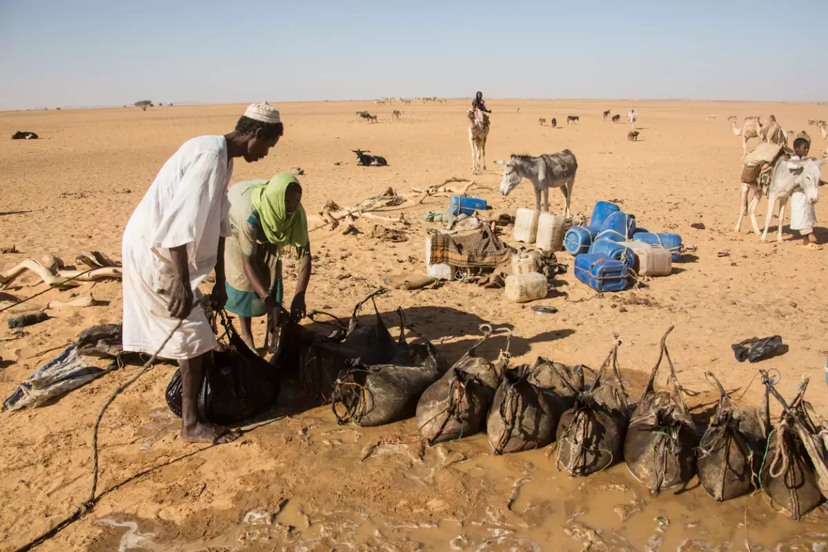 Karima, Sudán - 6 de enero de 2011: Los nómadas llenan sus sacos de agua en una fuente profunda en el desierto, Sudán