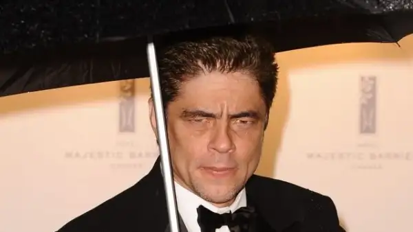 Benicio del Toro