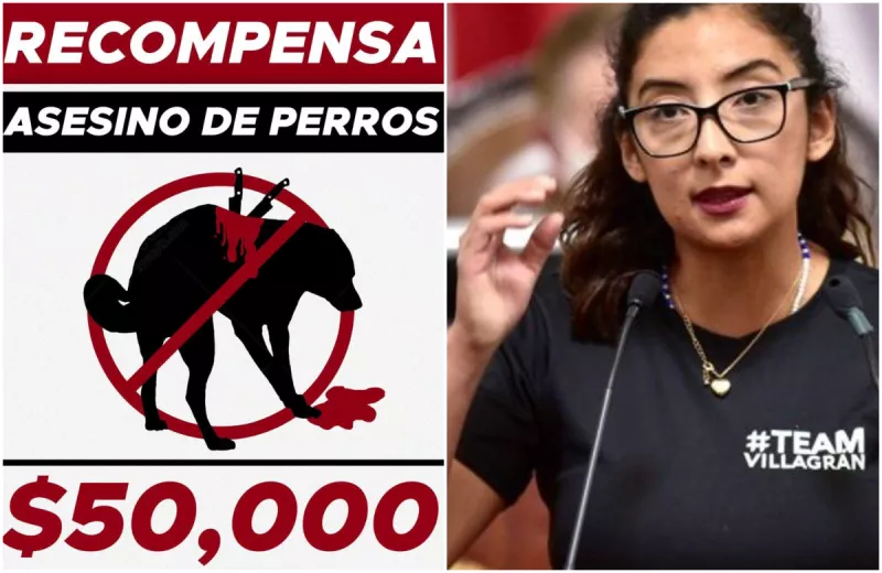 diputada recompensas.jpg