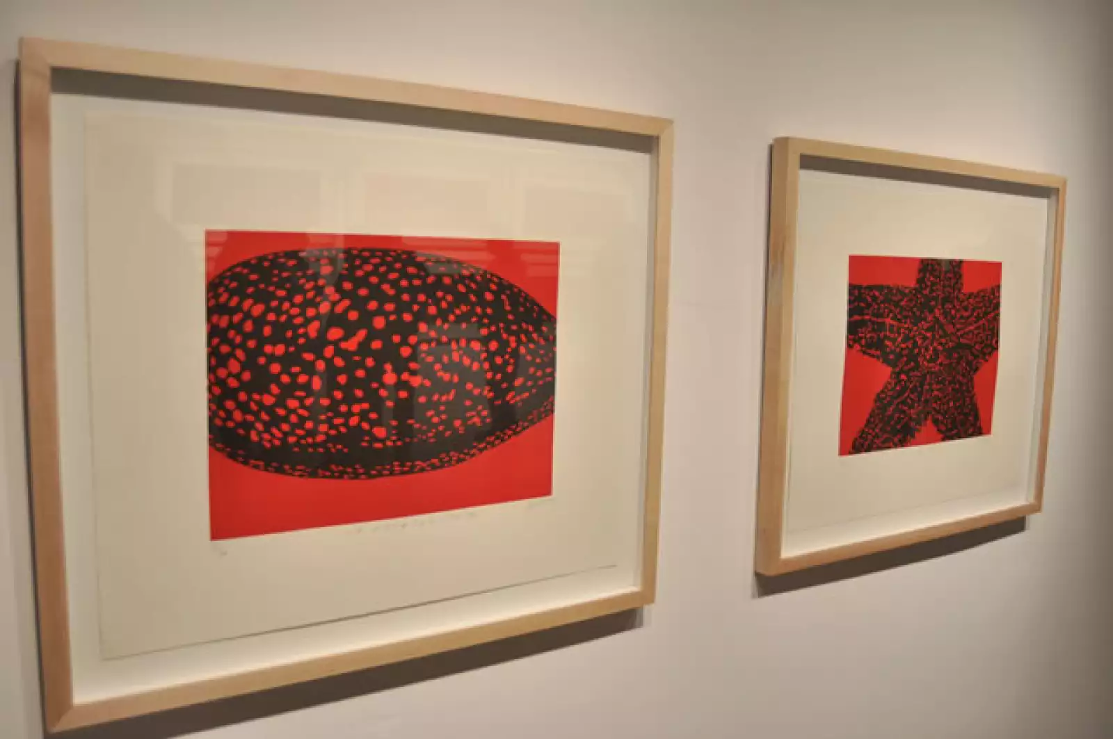 Exposición Obra Gráfica