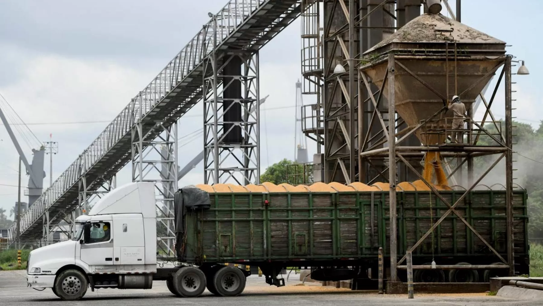 Decepciona a EU decreto de México por maíz transgénico