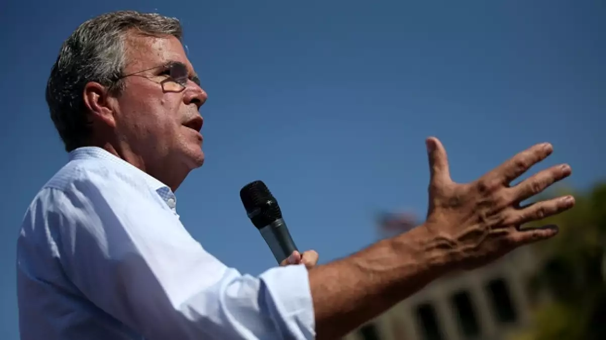 jeb bush