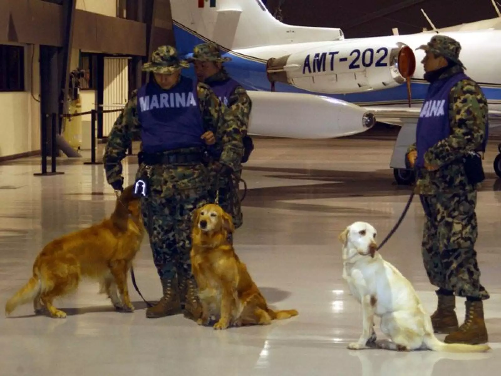`No sabemos decir si hay veinte, treinta o cien mil muertos, pero sabemos que es la mayor catástrofe que hayamos enfrentado nunca en este país´, dijo el portavoz del Programa Mundial de Alimentos de la ONU.