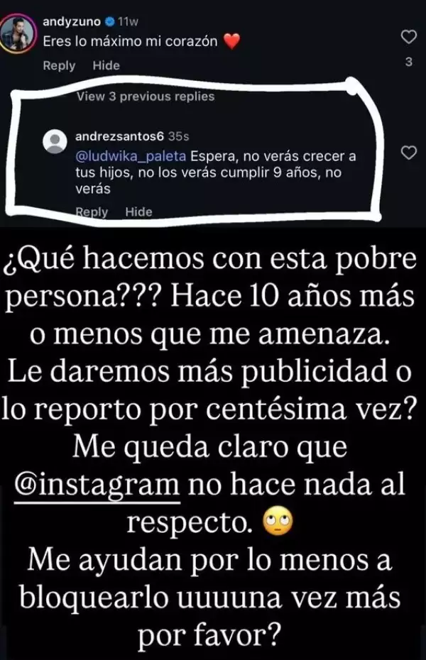 ludwika-paleta.jpeg