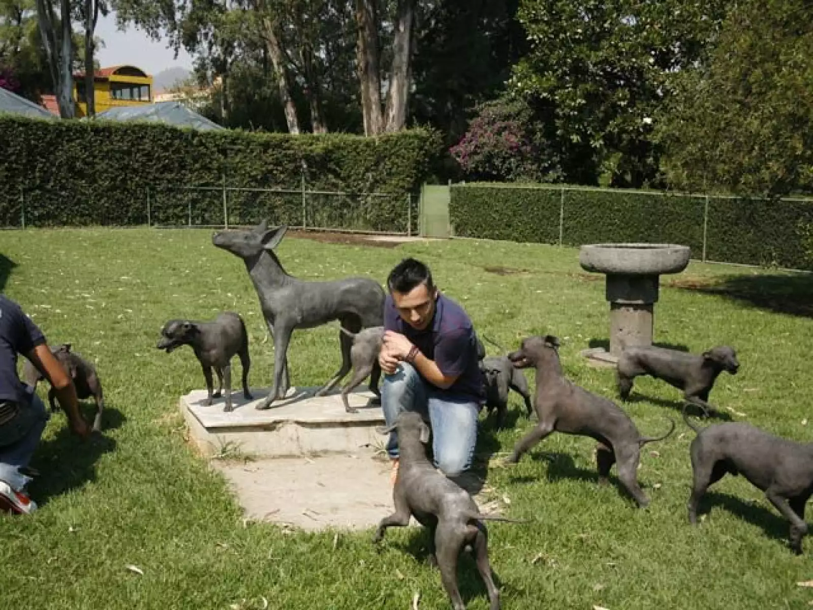 Israel Hernández, coordinador de foto.