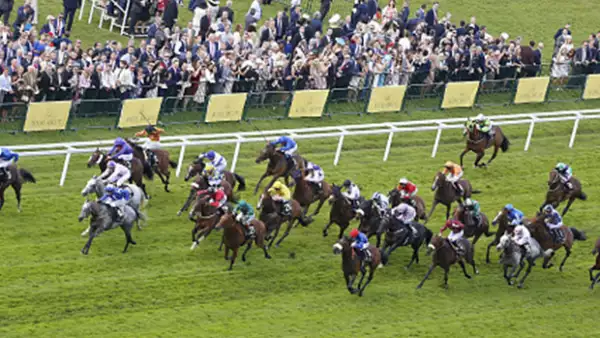 El Royal Ascot es uno de los eventos más prestigiosos de la alta sociedad británica. Para que sientas que estuviste ahí, te contamos cinco cosas que no sabías de este increíble evento.