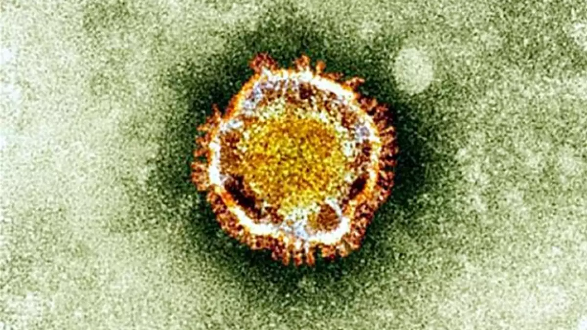 virus_archivo