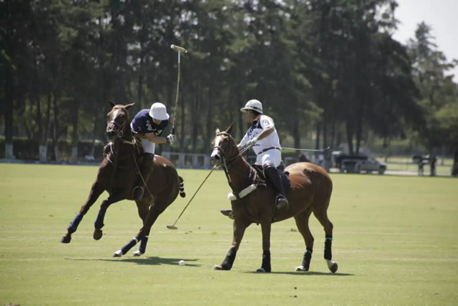 Torneo de Polo