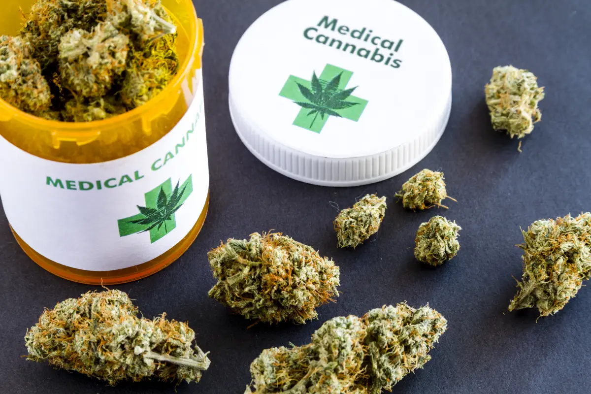 La cannabis medicinal es una industria naciente en México. (iStock).