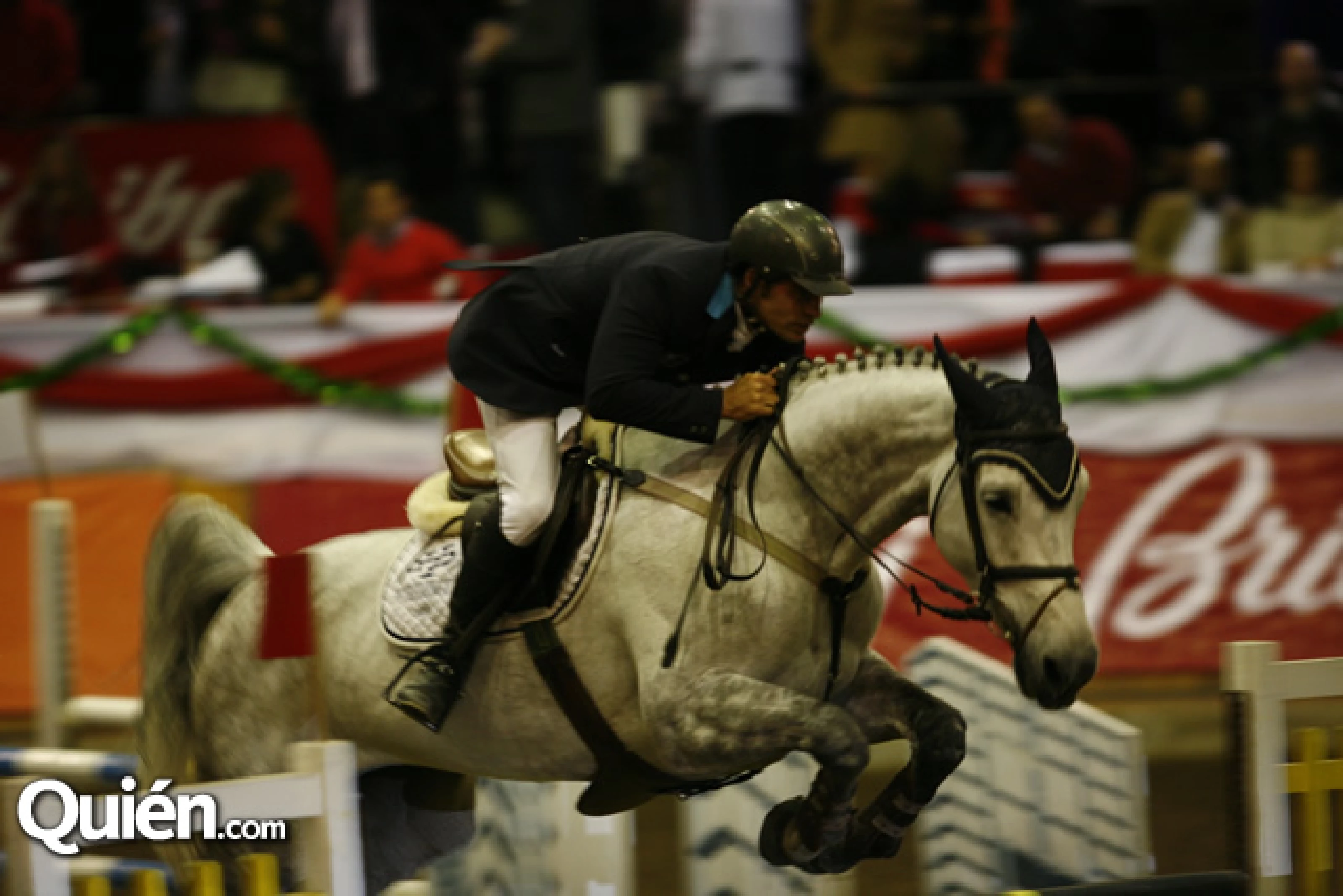 Un año más de éxito en la Copa Brioni