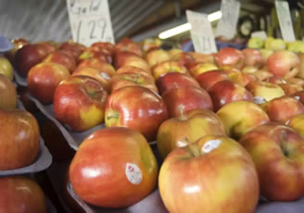 La OCDE destacó que los alimentos en México tuvieron un incremento de 2.8%. (Foto: Photos to go)