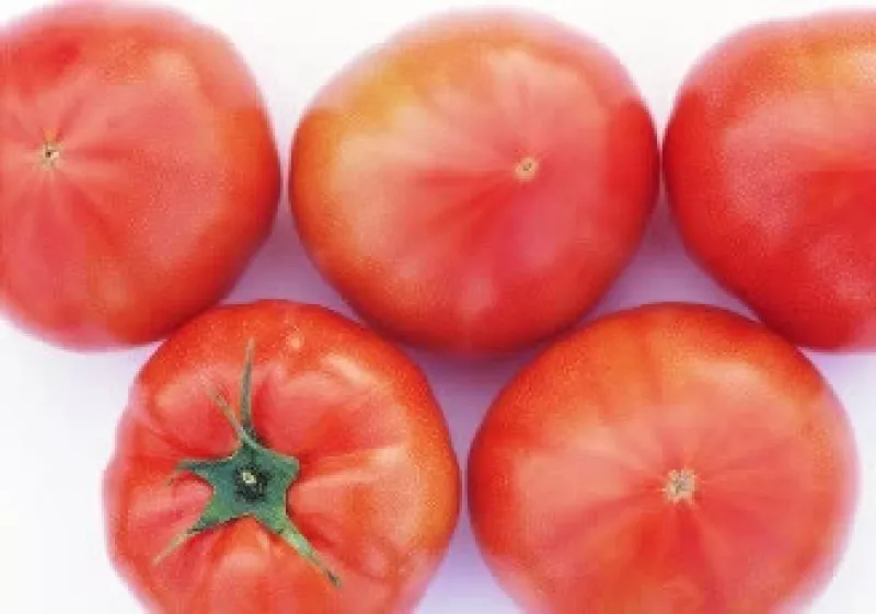 El precio del jitomate (tomate) sube 110% a tasa anual. (Foto: Jupiter Images)